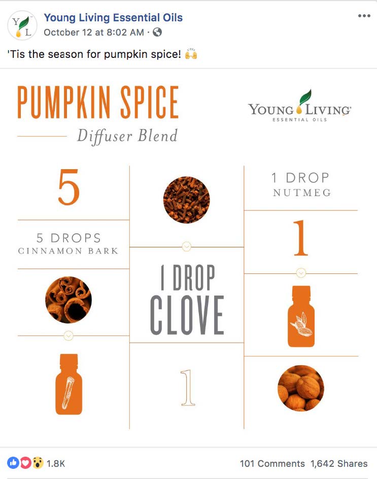 Creative Portfolio13