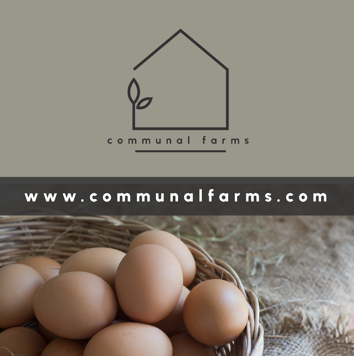 Screen Shot 2023-03-11 at 11.56.47 AM